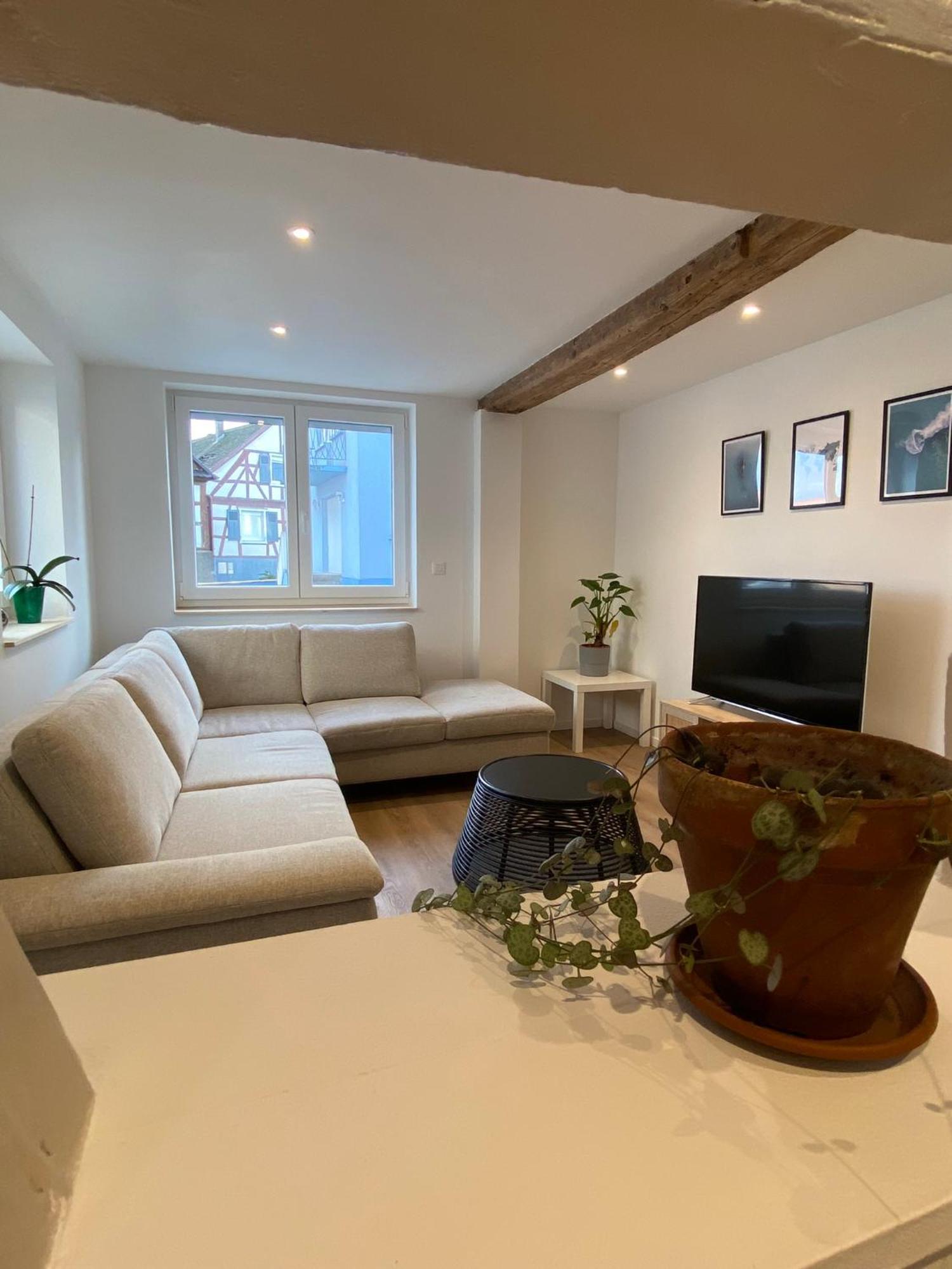 Appartement Confortable Soufflenheim Extérieur photo